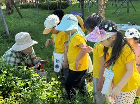 생태 숲 놀이 체험
